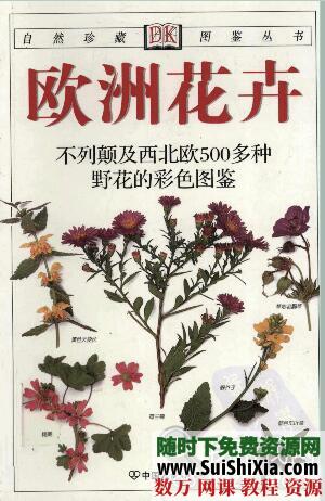 DK书籍大集合 第2张 DK书籍大集合 第2张