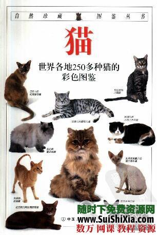 DK书籍大集合 第3张 DK书籍大集合 第3张