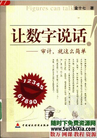 让数字说话-审计 第1张