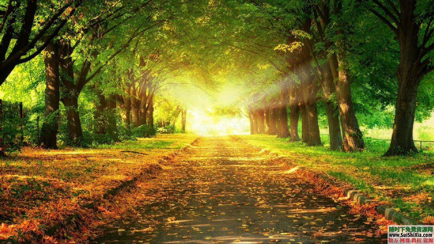 2016你最值得拥有的高清电脑壁纸包,海量图片值得收藏 美女图片 第1张 2016你最值得拥有的高清电脑壁纸包,海量图片值得收藏 美女图片 第1张