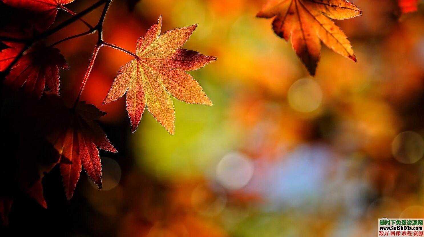 2016你最值得拥有的高清电脑壁纸包,海量图片值得收藏 美女图片 第2张 2016你最值得拥有的高清电脑壁纸包,海量图片值得收藏 美女图片 第2张