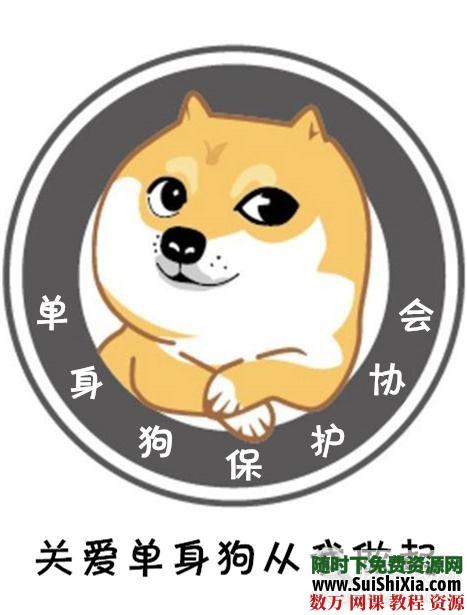 单身狗福利:女神解码 扫除恋爱障碍为你解码女性心机套路 泡妞撩妹 第1张 单身狗福利:女神解码 扫除恋爱障碍为你解码女性心机套路 泡妞撩妹 第1张