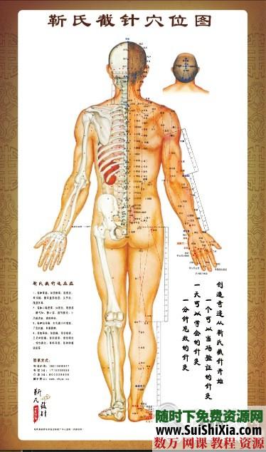 最新截针视频课程+内部秘方+宣传资料+穴位图以及案例打包 第8张 最新截针视频课程+内部秘方+宣传资料+穴位图以及案例打包 第8张