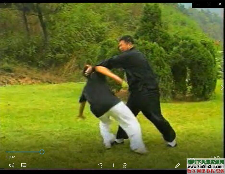 八极拳形意拳视频教程全集+独家训练步骤核心PDF教材 第7张 八极拳形意拳视频教程全集+独家训练步骤核心PDF教材 第7张