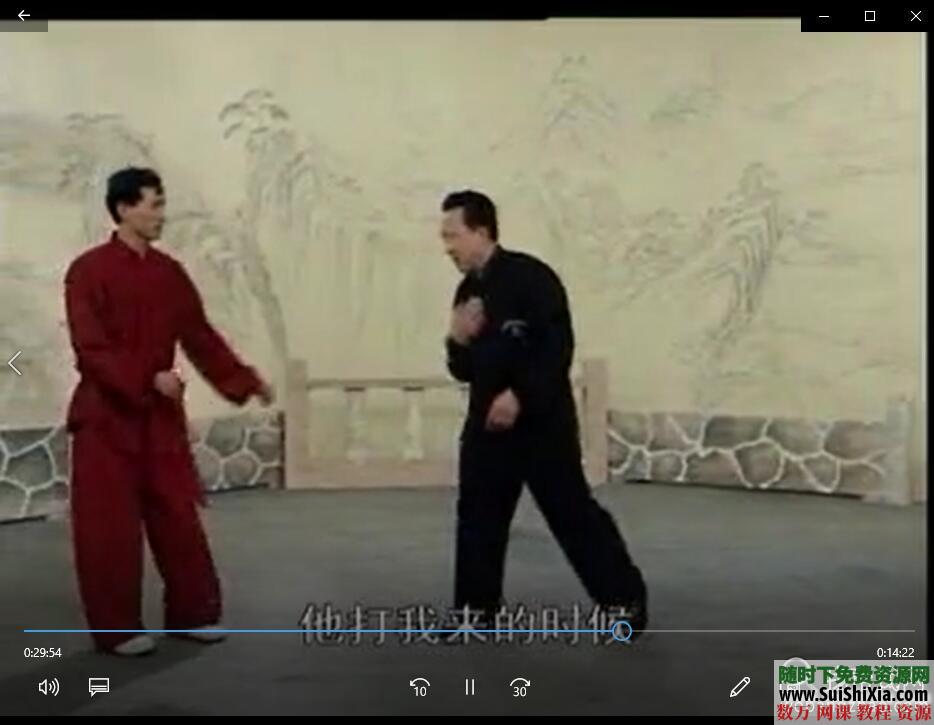 八极拳形意拳视频教程全集+独家训练步骤核心PDF教材 第8张 八极拳形意拳视频教程全集+独家训练步骤核心PDF教材 第8张