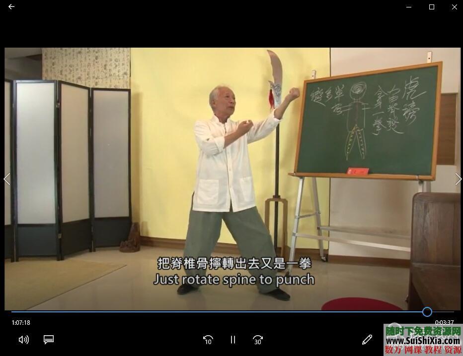 八极拳形意拳视频教程全集+独家训练步骤核心PDF教材 第12张 八极拳形意拳视频教程全集+独家训练步骤核心PDF教材 第12张