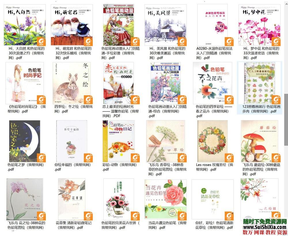 40G最强彩铅零基础入门到高手教学教程，包括大量电子书和绘画视频 电子书 第12张