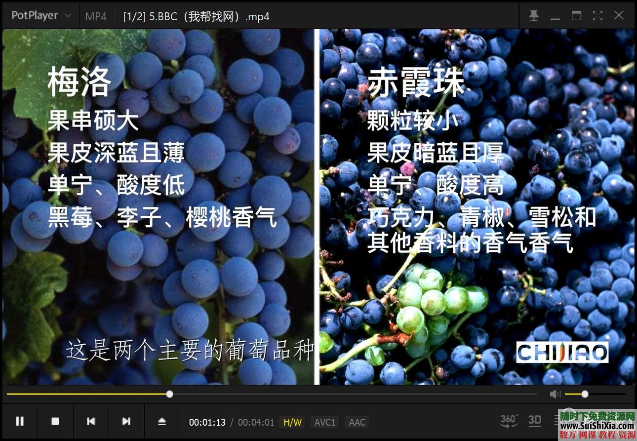 红酒品鉴视频教程和酒文化酒水知识资料 第6张 红酒品鉴视频教程和酒文化酒水知识资料 第6张