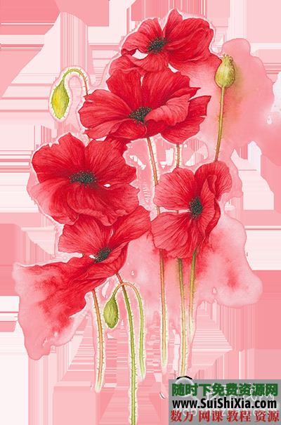 76张漂亮的【水彩花素材】免抠PNG格式 第1张 76张漂亮的【水彩花素材】免抠PNG格式 第1张