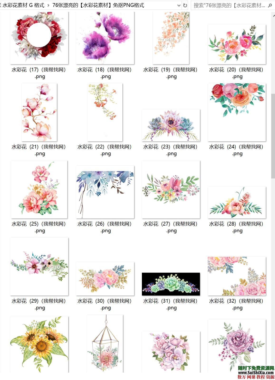 76张漂亮的【水彩花素材】免抠PNG格式 第5张 76张漂亮的【水彩花素材】免抠PNG格式 第5张