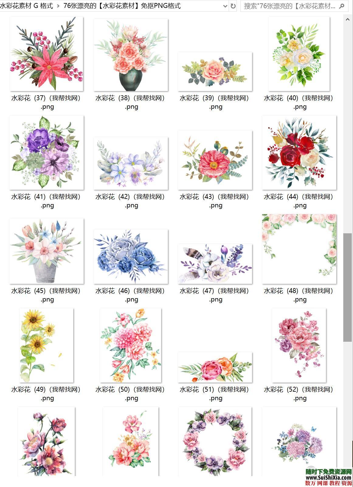 76张漂亮的【水彩花素材】免抠PNG格式 第6张 76张漂亮的【水彩花素材】免抠PNG格式 第6张