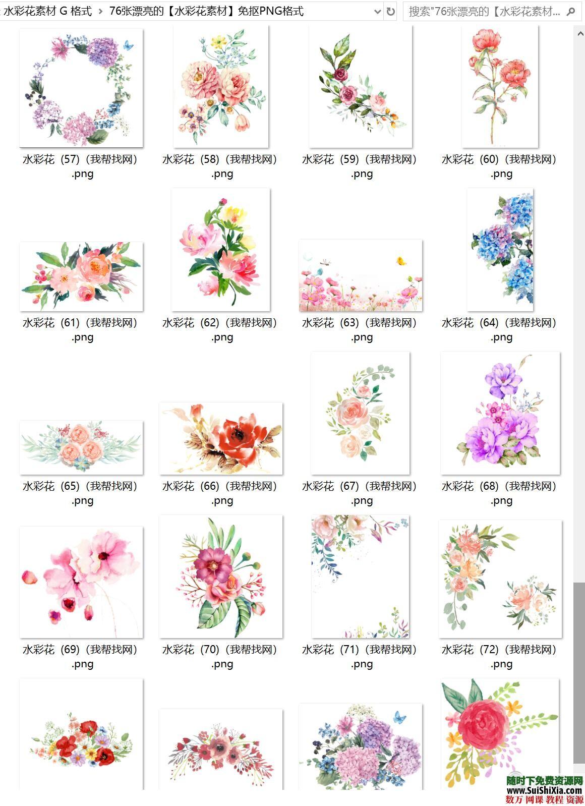 76张漂亮的【水彩花素材】免抠PNG格式 第7张 76张漂亮的【水彩花素材】免抠PNG格式 第7张