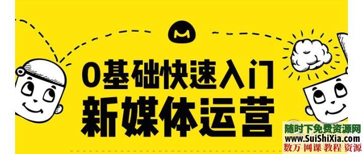 0基础快速入门新媒体运营视频教程10章 第1张