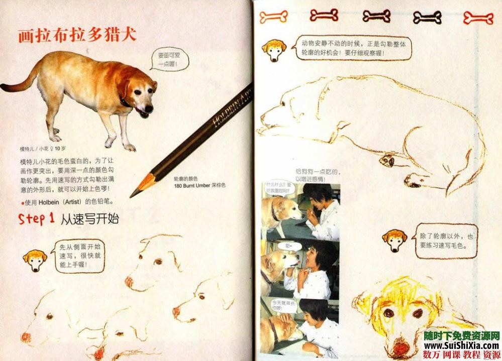 从今天开始学彩铅，彩铅画教程 第3张