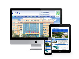 信息职业技术学院学校类网站织梦模板(带手机端)